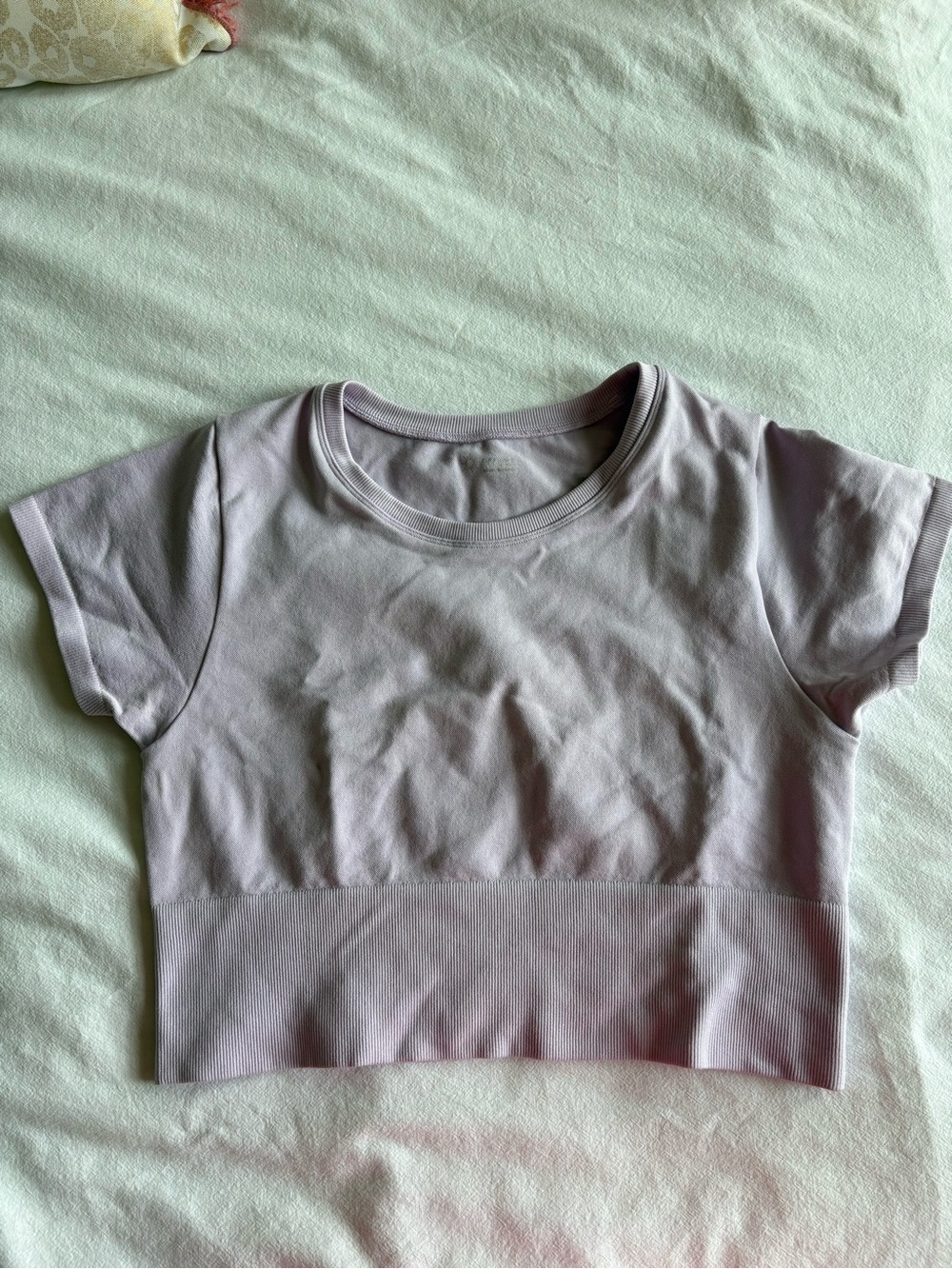 Aerie Cropped Workout Tee, Size L